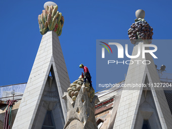 A crane is being installed in the Sagrada Familia to undertake the final works of the basilica. The 203-meter crane, of which there are only...