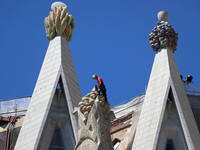 A crane is being installed in the Sagrada Familia to undertake the final works of the basilica. The 203-meter crane, of which there are only...