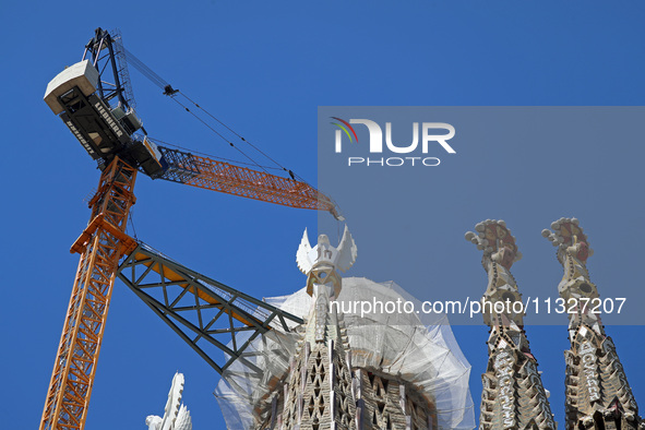 A crane is being installed in the Sagrada Familia to undertake the final works of the basilica. The 203-meter crane, of which there are only...