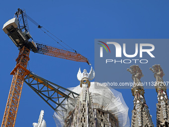 A crane is being installed in the Sagrada Familia to undertake the final works of the basilica. The 203-meter crane, of which there are only...