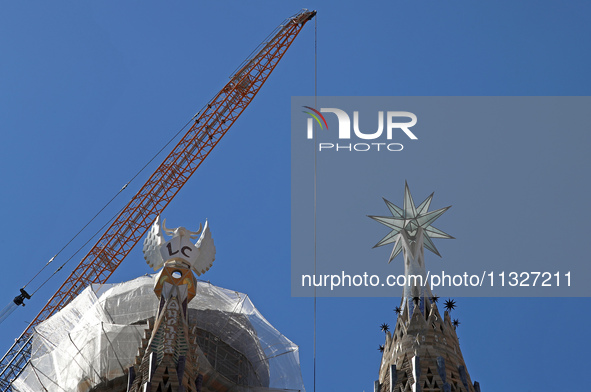 A crane is being installed in the Sagrada Familia to undertake the final works of the basilica. The 203-meter crane, of which there are only...