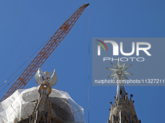 A crane is being installed in the Sagrada Familia to undertake the final works of the basilica. The 203-meter crane, of which there are only...