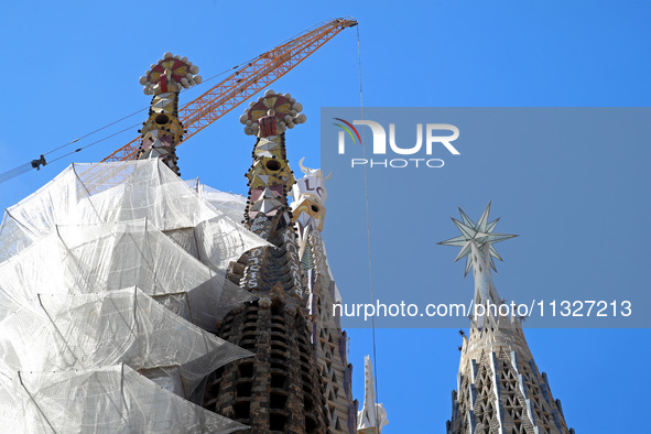 A crane is being installed in the Sagrada Familia to undertake the final works of the basilica. The 203-meter crane, of which there are only...