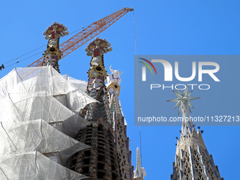 A crane is being installed in the Sagrada Familia to undertake the final works of the basilica. The 203-meter crane, of which there are only...