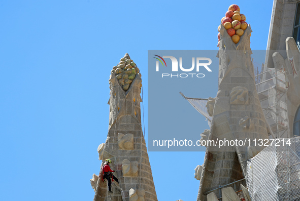 A crane is being installed in the Sagrada Familia to undertake the final works of the basilica. The 203-meter crane, of which there are only...