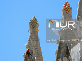 A crane is being installed in the Sagrada Familia to undertake the final works of the basilica. The 203-meter crane, of which there are only...