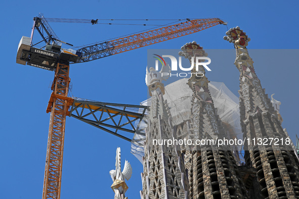 A crane is being installed in the Sagrada Familia to undertake the final works of the basilica. The 203-meter crane, of which there are only...