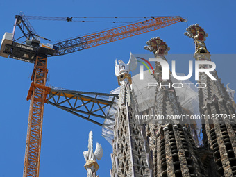 A crane is being installed in the Sagrada Familia to undertake the final works of the basilica. The 203-meter crane, of which there are only...