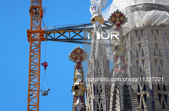 A crane is being installed in the Sagrada Familia to undertake the final works of the basilica. The 203-meter crane, of which there are only...