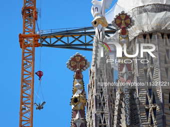 A crane is being installed in the Sagrada Familia to undertake the final works of the basilica. The 203-meter crane, of which there are only...