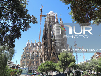 A crane is being installed in the Sagrada Familia to undertake the final works of the basilica. The 203-meter crane, of which there are only...