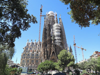 A crane is being installed in the Sagrada Familia to undertake the final works of the basilica. The 203-meter crane, of which there are only...