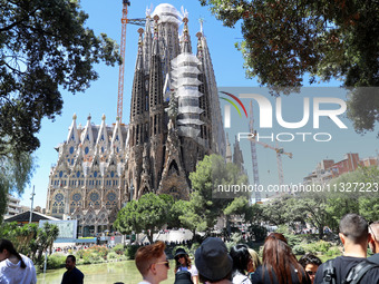 A crane is being installed in the Sagrada Familia to undertake the final works of the basilica. The 203-meter crane, of which there are only...