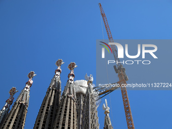 A crane is being installed in the Sagrada Familia to undertake the final works of the basilica. The 203-meter crane, of which there are only...