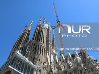 A crane is being installed in the Sagrada Familia to undertake the final works of the basilica. The 203-meter crane, of which there are only...