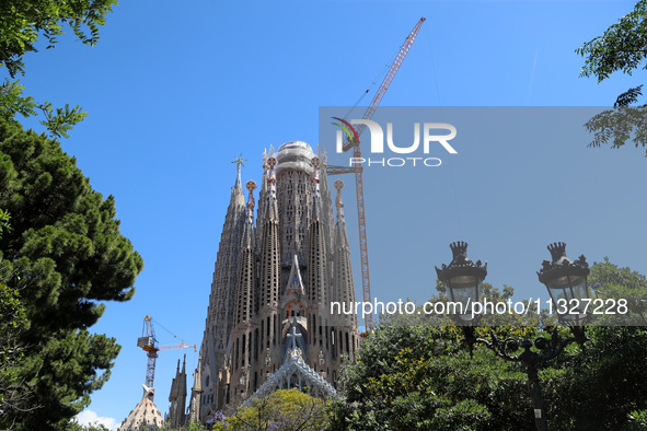 A crane is being installed in the Sagrada Familia to undertake the final works of the basilica. The 203-meter crane, of which there are only...