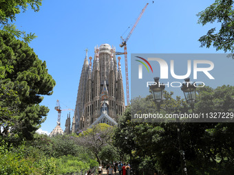 A crane is being installed in the Sagrada Familia to undertake the final works of the basilica. The 203-meter crane, of which there are only...