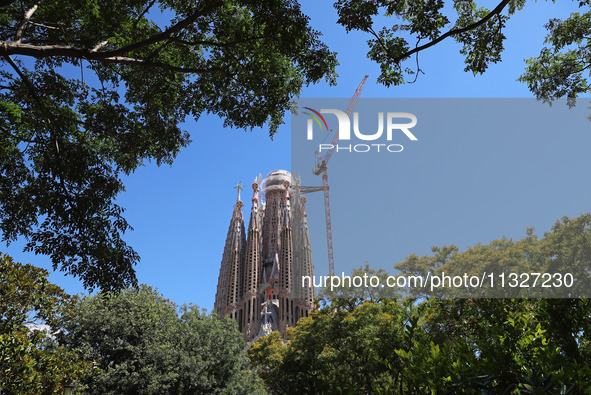 A crane is being installed in the Sagrada Familia to undertake the final works of the basilica. The 203-meter crane, of which there are only...