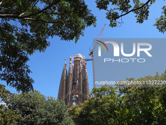 A crane is being installed in the Sagrada Familia to undertake the final works of the basilica. The 203-meter crane, of which there are only...