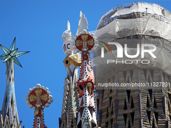 A crane is being installed in the Sagrada Familia to undertake the final works of the basilica. The 203-meter crane, of which there are only...