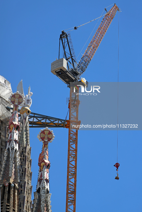 A crane is being installed in the Sagrada Familia to undertake the final works of the basilica. The 203-meter crane, of which there are only...