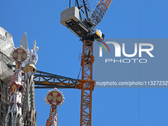 A crane is being installed in the Sagrada Familia to undertake the final works of the basilica. The 203-meter crane, of which there are only...