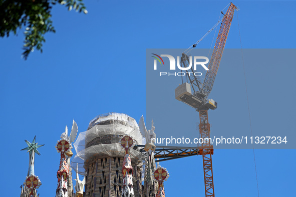 A crane is being installed in the Sagrada Familia to undertake the final works of the basilica. The 203-meter crane, of which there are only...