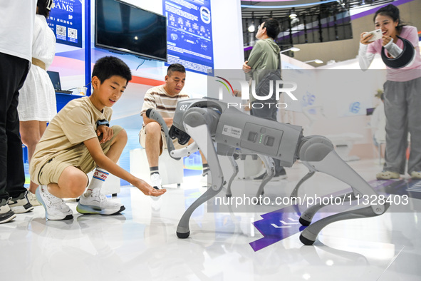 Visitors are interacting with a robot dog at The 10th China (Shanghai) International Technology Fair in Shanghai, China, on June 13, 2024. 