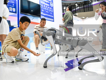 Visitors are interacting with a robot dog at The 10th China (Shanghai) International Technology Fair in Shanghai, China, on June 13, 2024. (