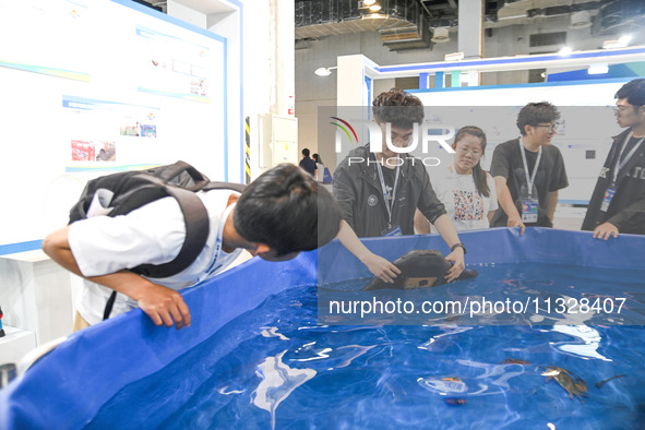 Visitors are visiting a manta ray demonstration pool with intelligent software at The 10th China (Shanghai) International Technology Fair in...