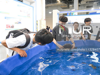 Visitors are visiting a manta ray demonstration pool with intelligent software at The 10th China (Shanghai) International Technology Fair in...