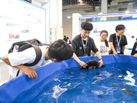 Visitors are visiting a manta ray demonstration pool with intelligent software at The 10th China (Shanghai) International Technology Fair in...