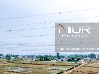 Power supply workers are carrying out acceptance work on a new 500-kilovolt transmission line in Nanjing, Jiangsu province, China, on June 1...