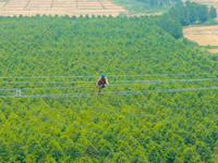 Power supply workers are carrying out acceptance work on a new 500-kilovolt transmission line in Nanjing, Jiangsu province, China, on June 1...