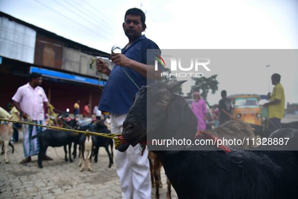 Traders are waiting for customers at a livestock market ahead of the Eid al-Adha festival in Nagaon District of Assam, India, on June 14, 20...