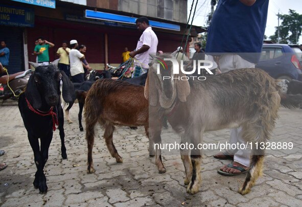 Traders are waiting for customers at a livestock market ahead of the Eid al-Adha festival in Nagaon District of Assam, India, on June 14, 20...