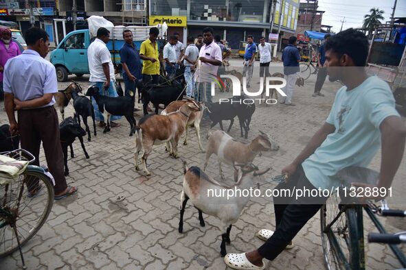 Traders are waiting for customers at a livestock market ahead of the Eid al-Adha festival in Nagaon District of Assam, India, on June 14, 20...