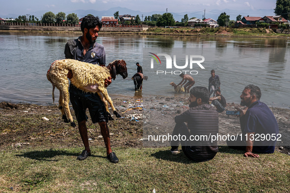 A shepherd is showing a sheep to a customer at a livestock market ahead of the Muslim festival Eid-Ul-Adha in Sopore, Jammu and Kashmir, Ind...