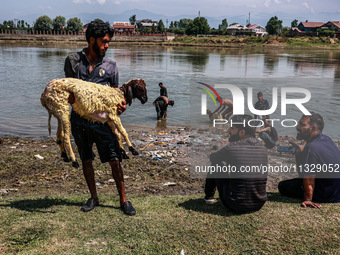 A shepherd is showing a sheep to a customer at a livestock market ahead of the Muslim festival Eid-Ul-Adha in Sopore, Jammu and Kashmir, Ind...