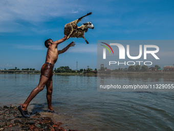 Shepherds are throwing sheep in River Jhelum for cleaning purposes before selling them in a livestock market ahead of the Muslim festival Ei...