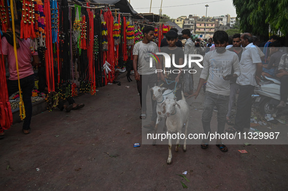 A boy is walking with his goats in a livestock market ahead of the Muslim festival of Eid al-Adha in the old quarters of New Delhi, India, o...