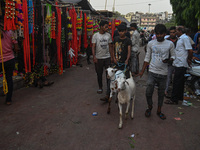 A boy is walking with his goats in a livestock market ahead of the Muslim festival of Eid al-Adha in the old quarters of New Delhi, India, o...