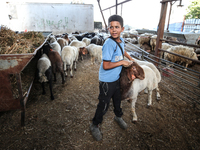 Khadir Al-Saidi, A Palestinian, Sells Livestock At His Farm In The Town Of At-Tur On Friday, June 14,2024 In East Jerusalem. Meanwhile, Musl...