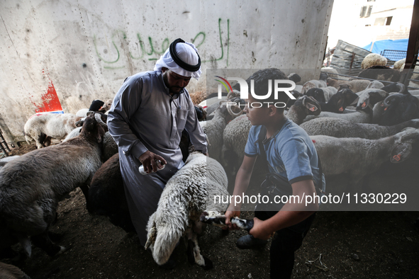 Khadir Al-Saidi, A Palestinian, Sells Livestock At His Farm In The Town Of At-Tur On Friday, June 14,2024 In East Jerusalem. Meanwhile, Musl...