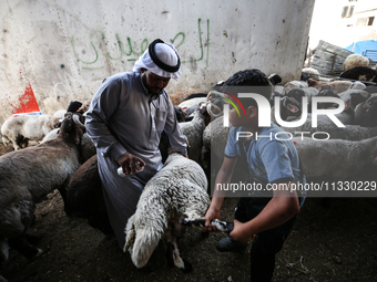 Khadir Al-Saidi, A Palestinian, Sells Livestock At His Farm In The Town Of At-Tur On Friday, June 14,2024 In East Jerusalem. Meanwhile, Musl...