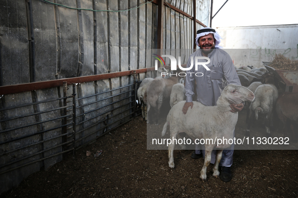 Khadir Al-Saidi, A Palestinian, Sells Livestock At His Farm In The Town Of At-Tur On Friday, June 14,2024 In East Jerusalem. Meanwhile, Musl...