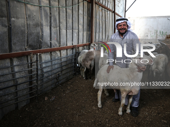 Khadir Al-Saidi, A Palestinian, Sells Livestock At His Farm In The Town Of At-Tur On Friday, June 14,2024 In East Jerusalem. Meanwhile, Musl...