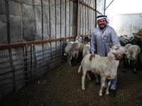 Khadir Al-Saidi, A Palestinian, Sells Livestock At His Farm In The Town Of At-Tur On Friday, June 14,2024 In East Jerusalem. Meanwhile, Musl...