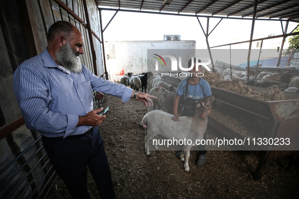 Khadir Al-Saidi, A Palestinian, Sells Livestock At His Farm In The Town Of At-Tur On Friday, June 14,2024 In East Jerusalem. Meanwhile, Musl...