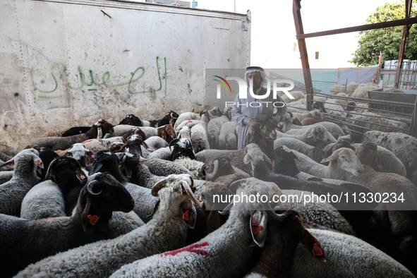 Khadir Al-Saidi, A Palestinian, Sells Livestock At His Farm In The Town Of At-Tur On Friday, June 14,2024 In East Jerusalem. Meanwhile, Musl...